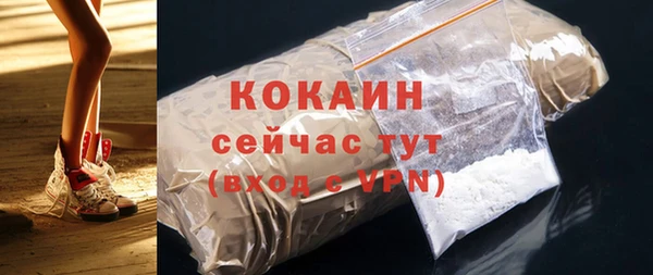 spice Бородино