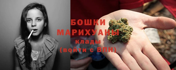 тгк Бронницы