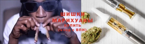 spice Бородино