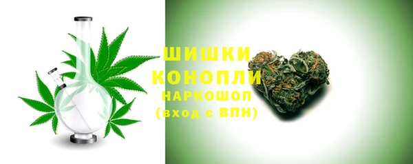 spice Бородино