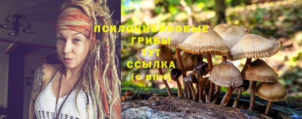 крисы Бугульма
