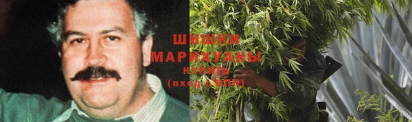 крисы Бугульма